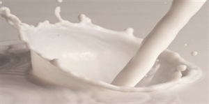 Alimentare, bene disegno di legge Carloni che istituisce sanzioni per utilizzo parola “latte” per prodotti di origine vegetale